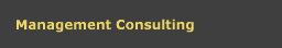 Management Consulting